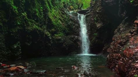 Silver Cascade - Una melodia che sussurra tranquillità mentre ondeggia con l'energia vibrante della natura.